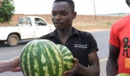 黑人吃瓜吗,黑人群体中的“吃瓜”现象解析