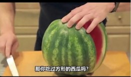 时空吃瓜在哪看,观看指南与精彩内容抢先看