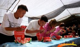 河北吃瓜比赛视频,一场视觉与味觉的双重盛宴