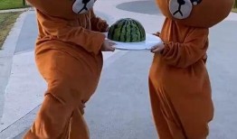 吃瓜小熊生肖,趣味横生的生肖故事