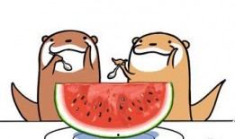 吃瓜吃到自己的心法,心法修炼之旅