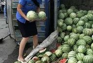 商丘吃瓜小伙,揭秘网络红人的崛起之路