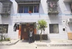 爱狗人士吃瓜群众,一场关于狗狗的争议风暴