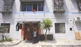 爱狗人士吃瓜群众,一场关于狗狗的争议风暴