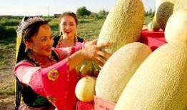 维族姑娘吃哈密瓜,哈密瓜美食之旅