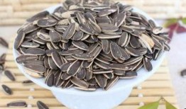 外国吃瓜嗑瓜子,嗑瓜子的跨国魅力