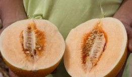 今天超级冷 吃瓜,超级冷天气下的那些事儿！”