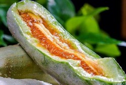 山东高职吃瓜,揭秘校园生活新潮流