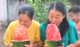 搞笑吃瓜记,笑料百出，瓜田里的欢乐盛宴