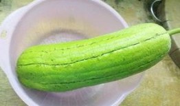 水瓜囊可以吃吗