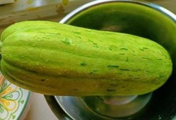 吃瓜做法,创意吃瓜攻略，解锁夏日清凉新姿势