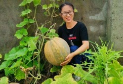 农村吃瓜女子是谁,她背后的故事与启示