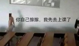 科大教室吃瓜,瓜田里的欢乐时光