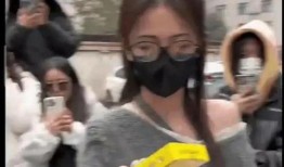 复仇吃瓜爆料视频,揭秘幕后真相，视频爆料揭示惊人内幕