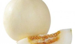 任城区吃瓜,瓜香四溢，品味地方特色美食之旅