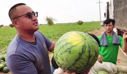 吃瓜图像代表什么,吃瓜图背后的社会现象解析