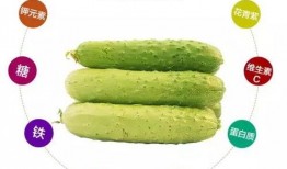 吃黄瓜再吃哈密瓜,哈密瓜甜蜜续篇