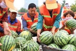 环卫工人吃瓜,共享瓜果乐