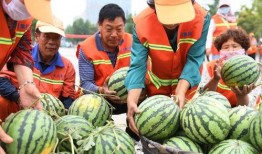 环卫工人吃瓜,共享瓜果乐