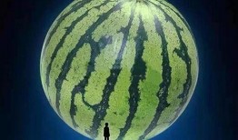 不知真假谨慎吃瓜