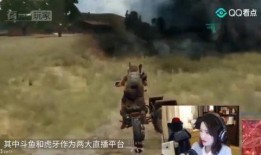 吃瓜群众年度大戏,吃瓜群众围观娱乐圈风云变幻