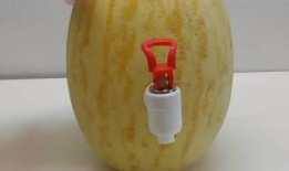 吃瓜饮水机,网红神器背后的故事