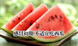感冒了能否吃瓜,吃瓜真的可行吗？揭秘瓜类食物对感冒的影响