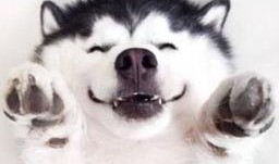 吃瓜调侃视频大全,带你领略网络幽默魅力