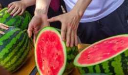 广西吃瓜大学,广西高校学子畅享夏日“吃瓜”盛宴