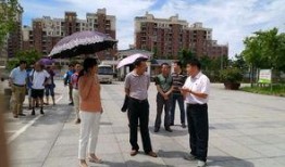 南陵中学吃瓜,揭秘校园里的热点话题