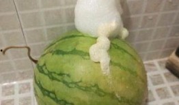 泡泡吃瓜ptcg,揭秘卡牌游戏的魅力与策略