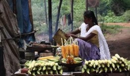 捷克街头吃瓜爆料,吃瓜爆料，揭秘生活百态