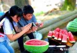 苞米地里吃瓜群众,揭秘农村生活百态