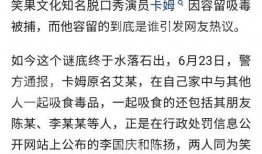 吃瓜网站列表,盘点网络热议焦点