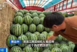 51个吃瓜,揭秘娱乐圈背后的故事