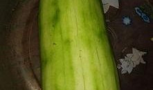 葫芦瓜炸多久可以吃,美味即刻享用