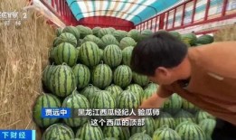 吃瓜都要钱,揭秘网络时代的新消费现象