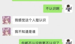 怎么聊天吃瓜,如何轻松吃瓜，畅享八卦盛宴