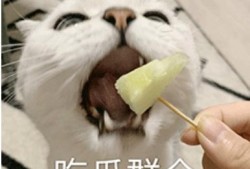 吃瓜侵犯他人隐私吗,边界何在？揭秘吃瓜行为与隐私侵犯的微妙关系