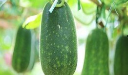 吃瓜不能错过,盘点娱乐圈那些不得不关注的幕后故事