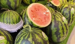 每日吃瓜有哪些,轻松掌握娱乐圈新鲜事