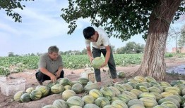 南和广场吃瓜,吃瓜群众的欢乐盛宴