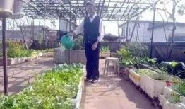 西厂楼顶吃瓜,见证历史瞬间，吃瓜群众的热议焦点